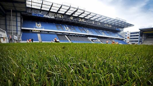 Pitch of the Year Bundesliga