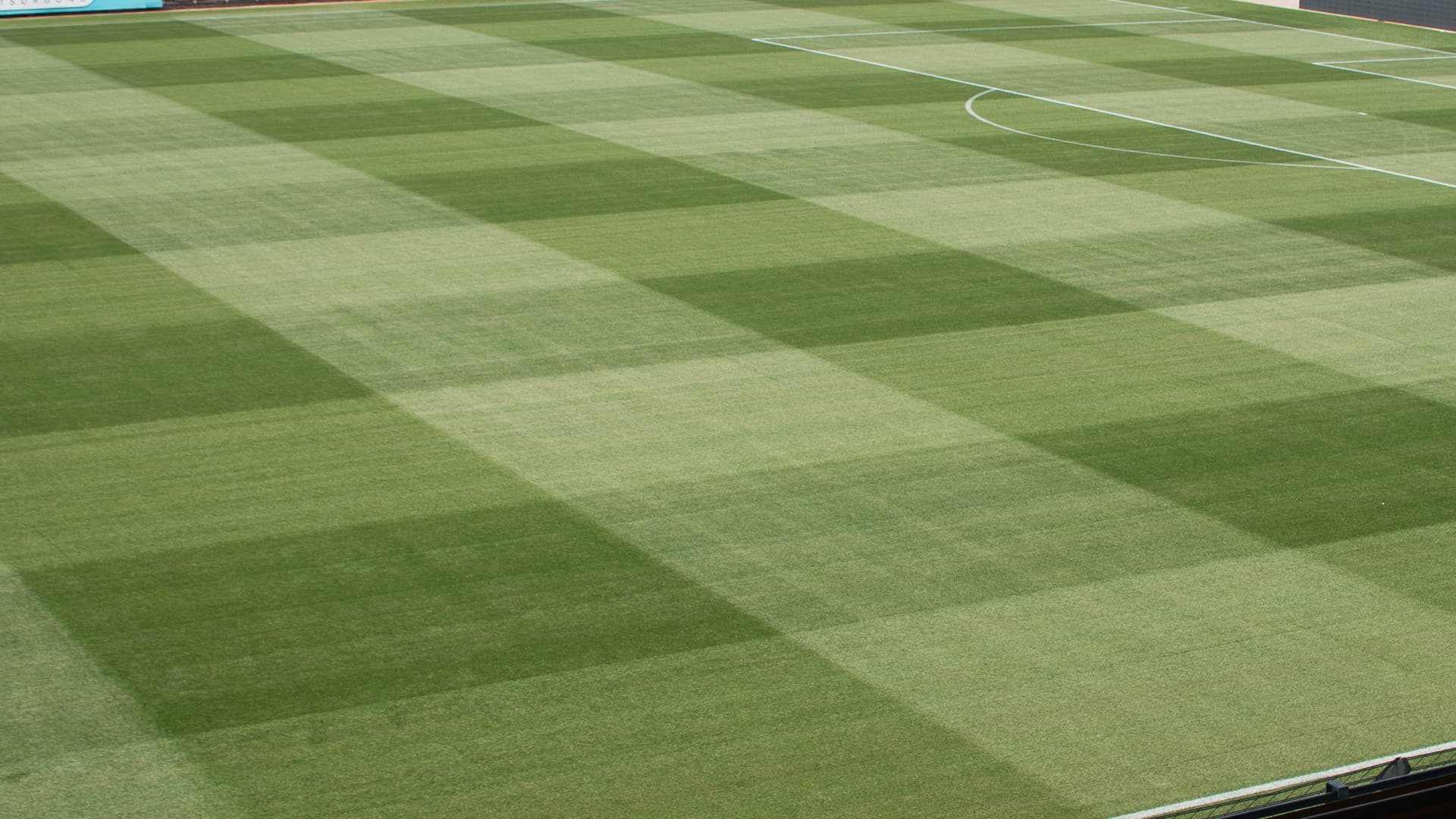 Rasenmuster in einem Fußballstadion